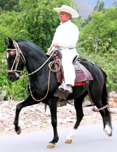Horseback trail riding in Perou